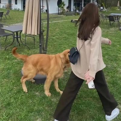 暗影迷踪